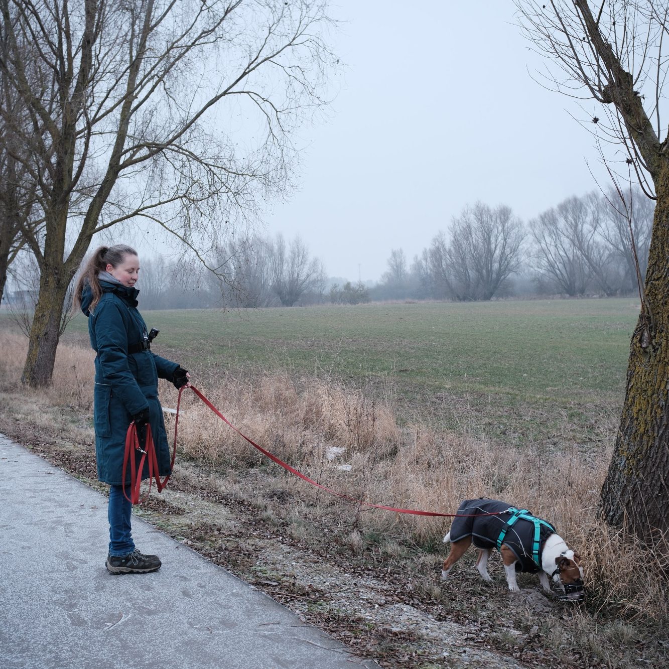 Hundetrainerin mit schnüffelndem Hund auf dem Spaziergang