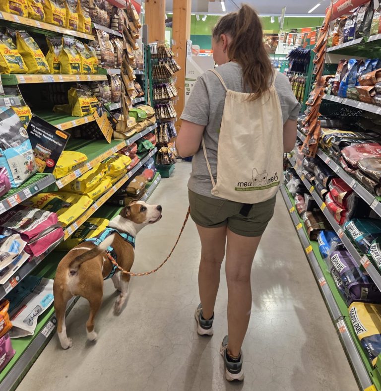 Mobile Hundetrainerin bei einer Aufmerksamkeitsübung in einem Heimtiermarkt